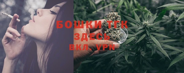 молекула духа Липки