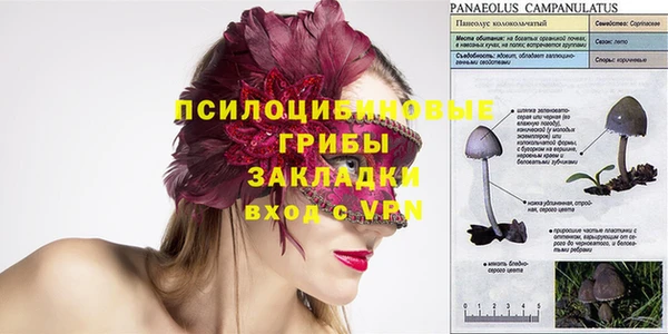 молекула духа Липки