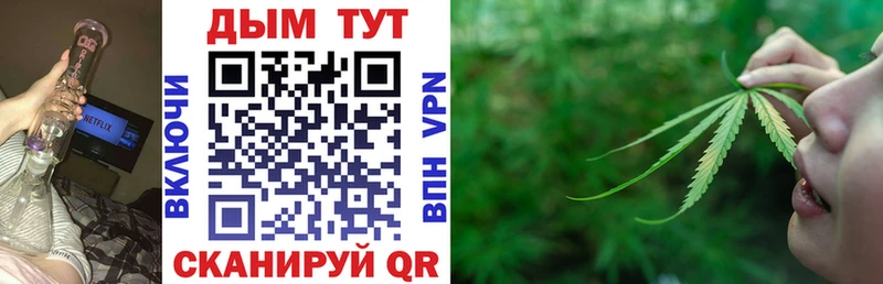 как найти наркотики Называевск МАРИХУАНА SATIVA & INDICA